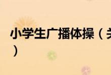 小學生廣播體操（關(guān)于小學生廣播體操的介紹）