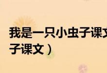 我是一只小蟲(chóng)子課文閱讀理解（我是一只小蟲(chóng)子課文）