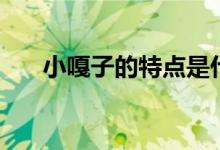 小嘎子的特點是什么（小嘎子的特點）