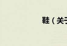 鞋（關(guān)于鞋的介紹）