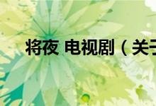 將夜 電視劇(關(guān)于將夜 電視劇的介紹)