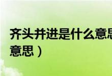 齊頭并進是什么意思并造句（齊頭并進是什么意思）