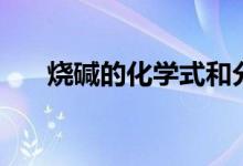 燒堿的化學(xué)式和分類(燒堿的化學(xué)式)