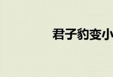 君子豹變小說(shuō)（君子豹變）