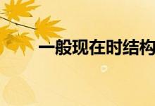 一般現(xiàn)在時(shí)結(jié)構(gòu)用法(一般現(xiàn)在時(shí))