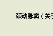 頸動(dòng)脈竇（關(guān)于頸動(dòng)脈竇的介紹）