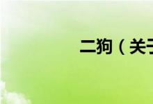 二狗（關(guān)于二狗的介紹）