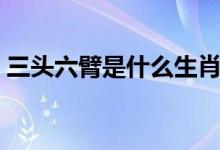 三頭六臂是什么生肖（三頭六臂打一個(gè)生肖）