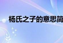 楊氏之子的意思簡(jiǎn)寫（楊氏之子的意思）