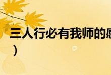 三人行必有我?guī)煹母形颍ㄈ诵斜赜形規(guī)煼g)