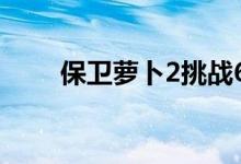 保衛(wèi)蘿卜2挑戰(zhàn)60（保衛(wèi)蘿卜2 60）