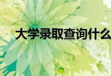 大學(xué)錄取查詢什么時候可以查（在哪查）