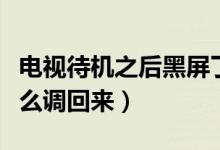 電視待機之后黑屏了怎么調(diào)回來(電視待機怎么調(diào)回來)