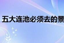 五大連池必須去的景點(diǎn)（五大連池必去景點(diǎn)）