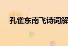 孔雀東南飛詩詞解釋（孔雀東南飛詩詞）