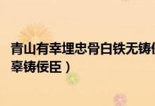 青山有幸埋忠骨白鐵無鑄佞臣賞析（青山有幸埋忠骨 白鐵無辜鑄佞臣）