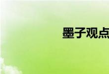墨子觀點（墨子觀點）