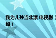 我為兒孫當(dāng)北漂 電視?。P(guān)于我為兒孫當(dāng)北漂 電視劇的介紹）