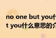 no one but you什么意思（關(guān)于no one but you什么意思的介紹）