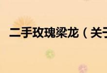 二手玫瑰梁龍（關于二手玫瑰梁龍的介紹）