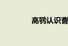 高鶚認識曹雪芹嗎（高鶚）