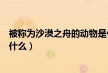 被稱為沙漠之舟的動物是什么呢（被稱為沙漠之舟的動物是什么）