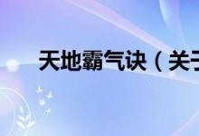 天地霸氣訣（關(guān)于天地霸氣訣的介紹）