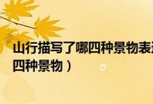 山行描寫了哪四種景物表達(dá)了作者什么之情（山行描寫了哪四種景物）