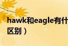 hawk和eagle有什么不同（hawk和eagle的區(qū)別）