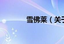 雪佛萊(關(guān)于雪佛萊的介紹)