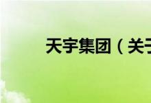 天宇集團（關于天宇集團的介紹）