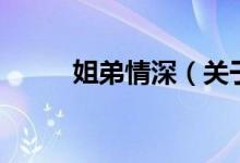 姐弟情深（關(guān)于姐弟情深的介紹）