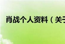 肖戰(zhàn)個人資料（關(guān)于肖戰(zhàn)個人資料的介紹）