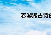春游湖古詩(shī)的意思（春游湖）