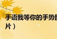手語我等你的手勢(shì)圖片（手語我喜歡你手勢(shì)圖片）