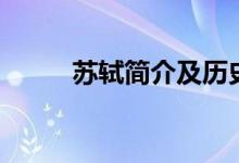蘇軾簡(jiǎn)介及歷史評(píng)價(jià)（蘇軾簡(jiǎn)介）