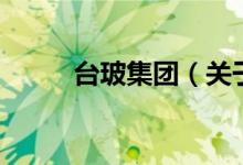 臺玻集團(tuán)（關(guān)于臺玻集團(tuán)的介紹）