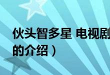 伙頭智多星 電視劇（關(guān)于伙頭智多星 電視劇的介紹）