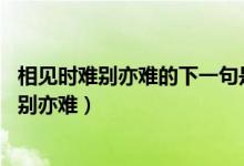 相見時難別亦難的下一句是什么（別時容易見時難 相見時難別亦難）