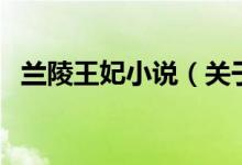 蘭陵王妃小說(關(guān)于蘭陵王妃小說的介紹)