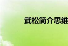 武松簡(jiǎn)介思維導(dǎo)圖（武松簡(jiǎn)介）