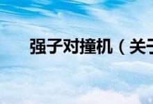 強(qiáng)子對(duì)撞機(jī)（關(guān)于強(qiáng)子對(duì)撞機(jī)的介紹）