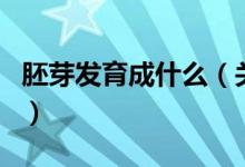 胚芽發(fā)育成什么（關(guān)于胚芽發(fā)育成什么的介紹）