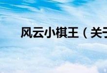 風云小棋王（關于風云小棋王的介紹）