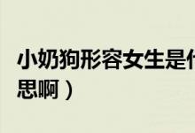 小奶狗形容女生是什么意思（小奶狗是什么意思?。?class=