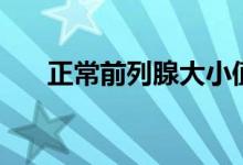 正常前列腺大小值（正常前列腺大?。?class=