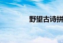 野望古詩拼音（野望古詩）