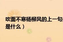 吹面不寒楊柳風的上一句是什么（吹面不寒楊柳風的上一句是什么）