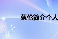 蔡倫簡(jiǎn)介個(gè)人資料（蔡倫簡(jiǎn)介）