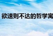 欲速則不達(dá)的哲學(xué)寓意（欲速則不達(dá)的故事）